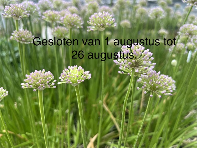 Verlof van 1 augustus tot 26 augustus